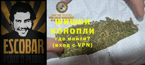 шишки Балабаново