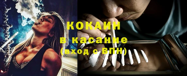 шишки Балабаново